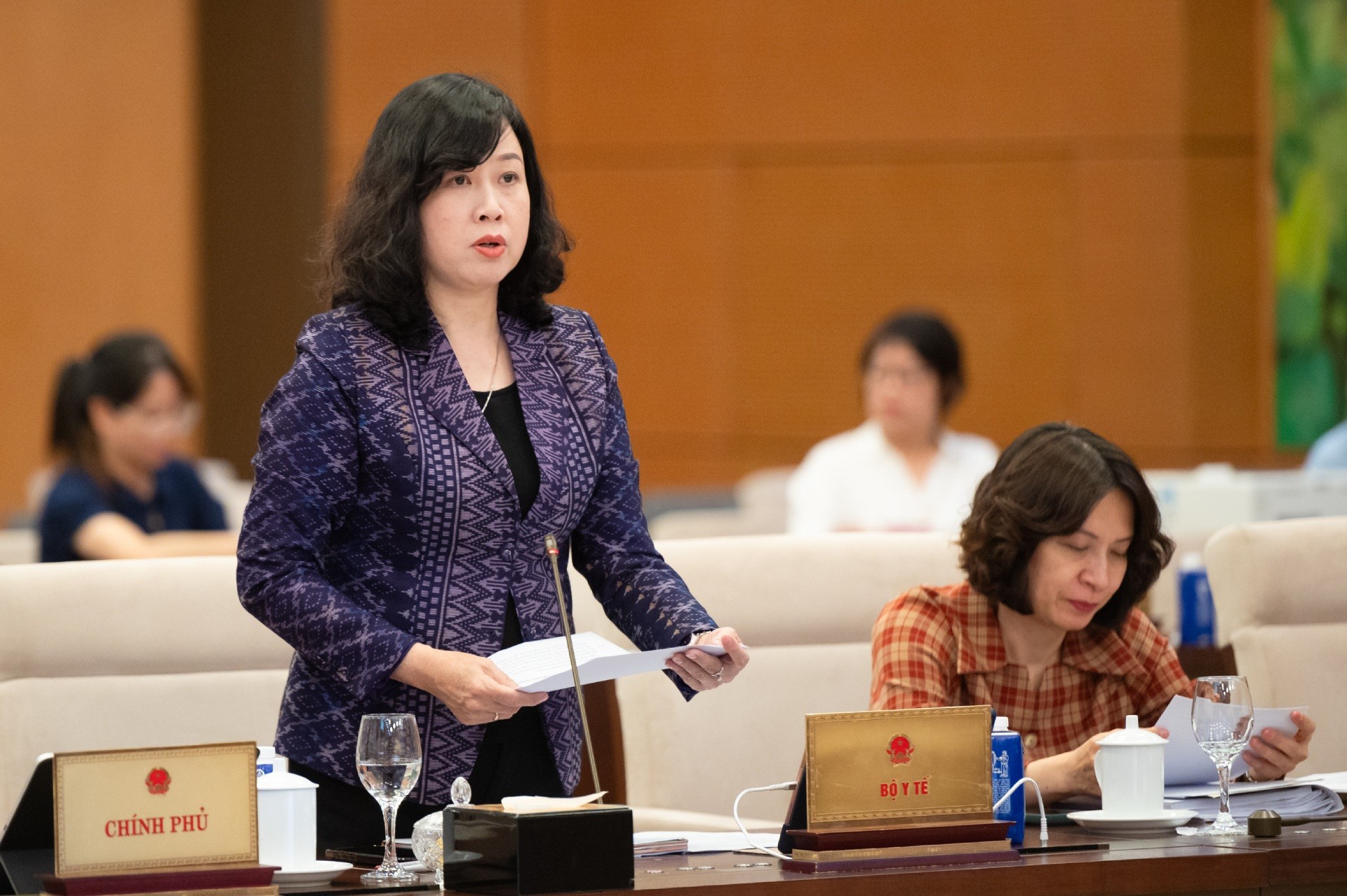 z61-3779-bo-truong-bo-y-te-dao-hong-lan-1-85624.jpg