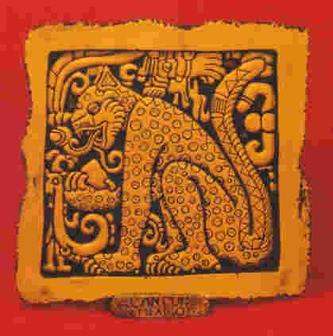 maya-4.jpg