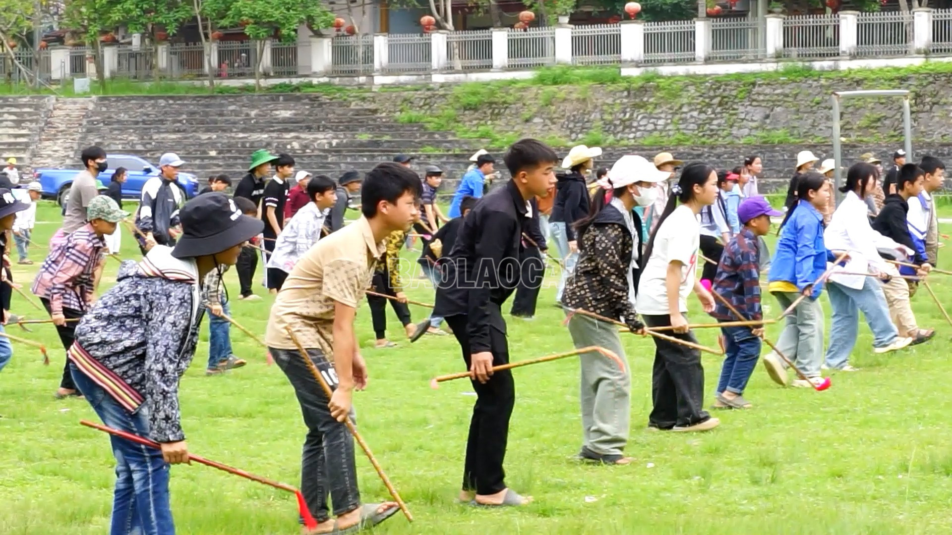 baolaocai-c_mua-gay-03.jpg