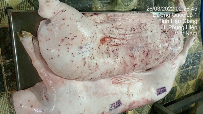 汚い豚肉を販売したとして告発されたC.P社の事件に介入するよう公安部に要請する。