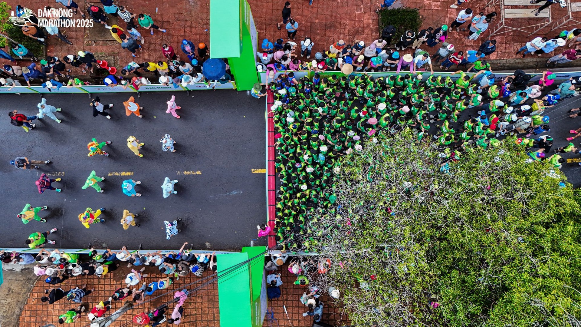 1748850405824-dji_20250531153223_0087_d.jpg