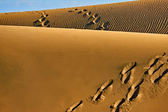 Sa mạc Sahara hiện nay đã rộng lớn hơn bao nhiêu % so với 100 năm trước?