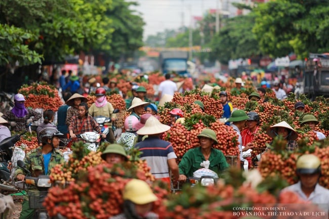 Phát triển du lịch trải nghiệm “Vải thiều Lục Ngạn - Tinh hoa trái cây Việt" - Ảnh 4.