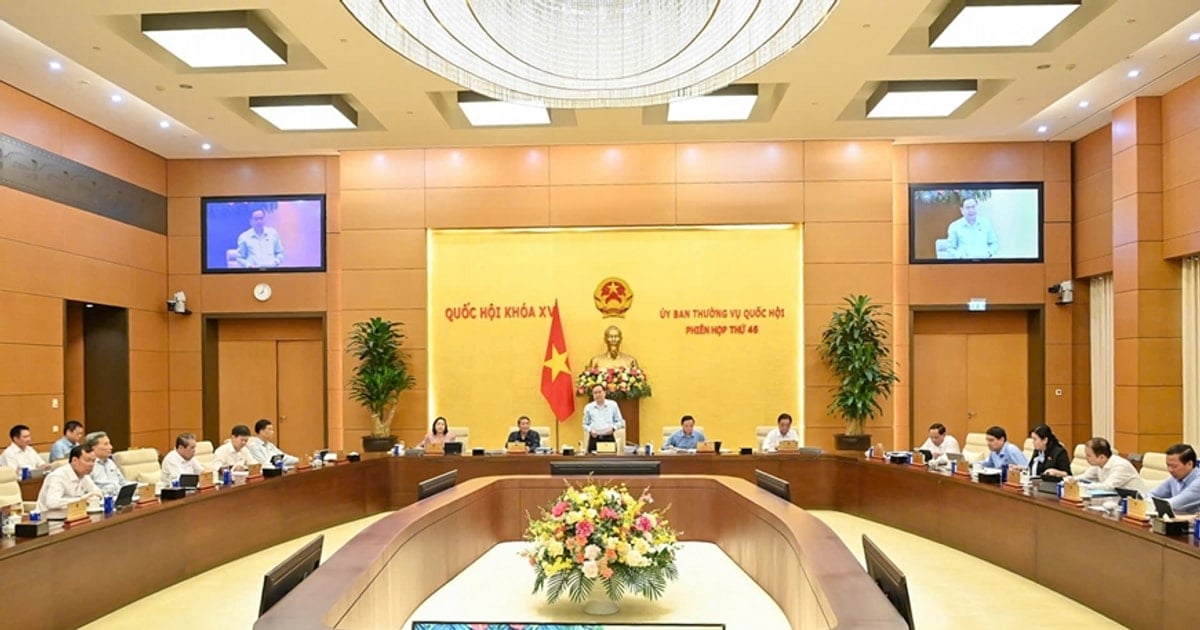Danh sách nhân sự Trưởng đoàn, Phó trưởng đoàn...