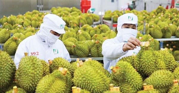 Tin tức đặc biệt trên báo in Hànộimới ngày 30-6-2025