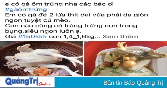 Cẩn trọng với gà “ôm trứng” giá rẻ