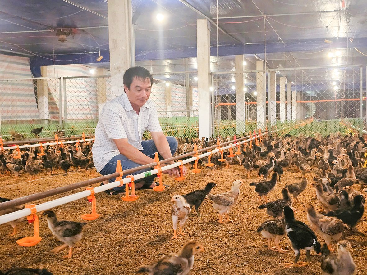Phát huy hiệu quả của quỹ hỗ trợ phát triển hợp tác xã