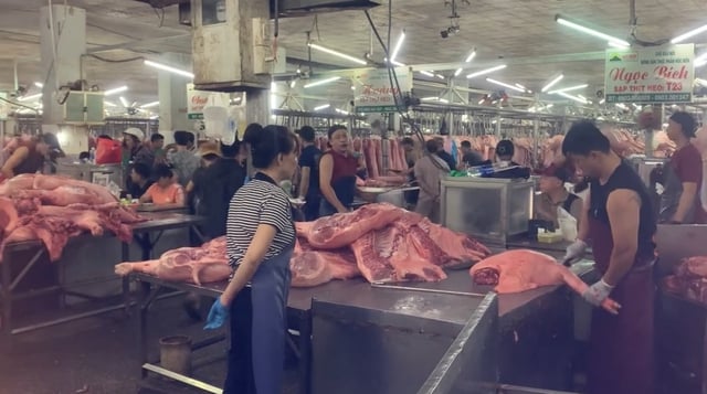 Giá heo hơi hôm nay 30.6.2025: Vào đợt giảm mạnh- Ảnh 1.