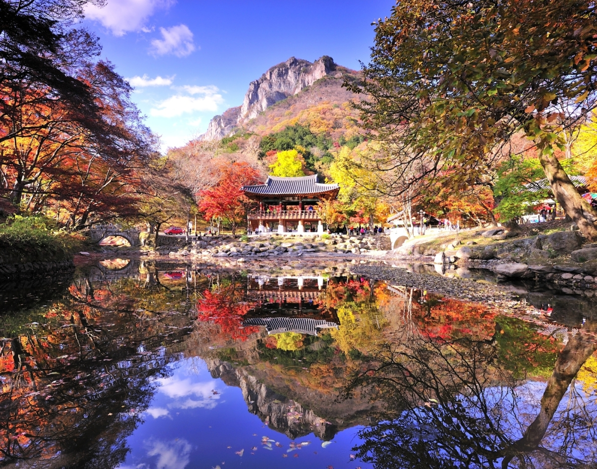 Viaje a Asia para ver la belleza de cada estación en Corea