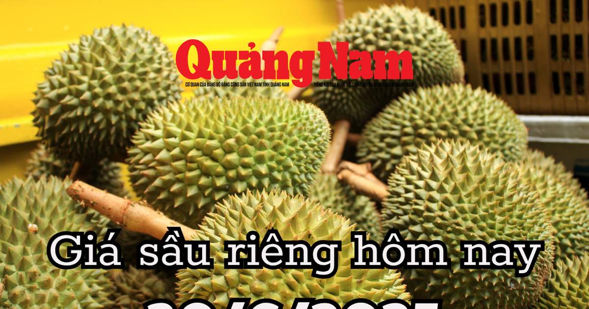 Der Durian-Preis heute, am 30. Juni 2025, ist eine gute Saison, aber der Preis ist gefallen und ist nach nur einem Monat um 50 % gefallen.