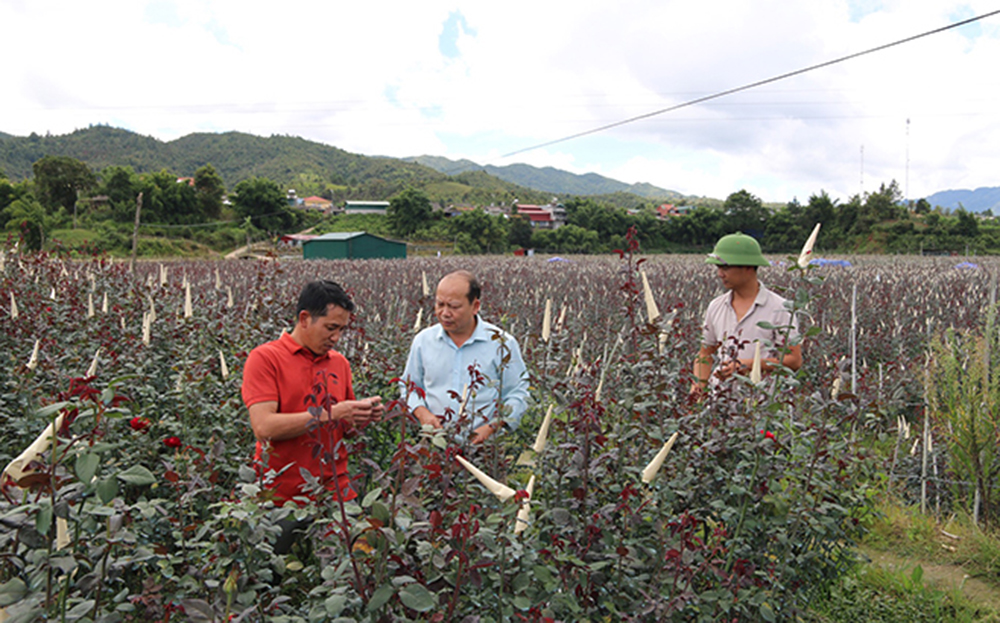 Khơi dòng phát triển