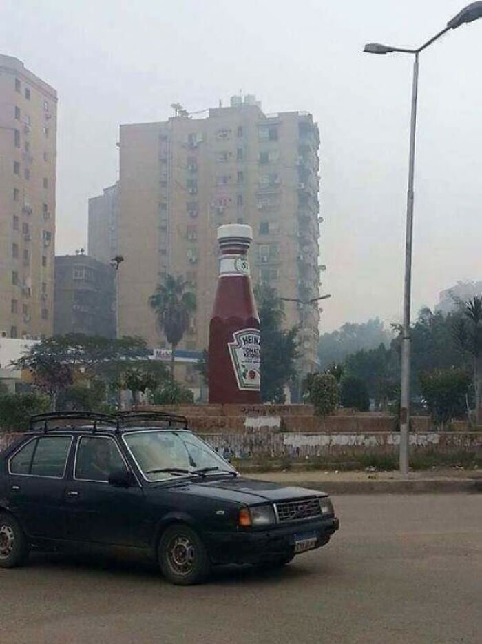 ai11.jpg