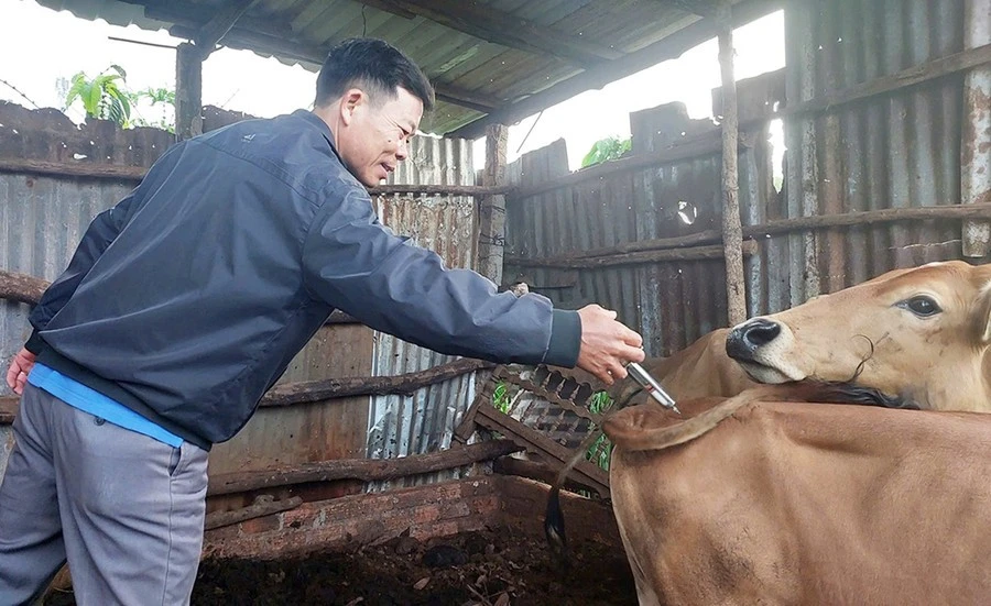 Gia Lai announces 6 new internal administrative procedures in the veterinary field