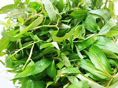 Muốn nấu được cháo cá diếc ngon, mềm ngọt, nhất định phải có loại rau này- Ảnh 2.