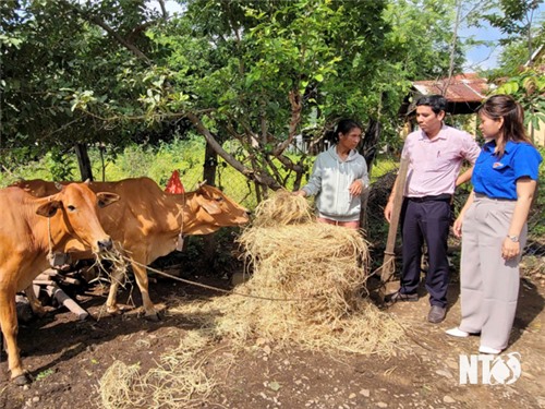 Quan tâm bố trí nguồn vốn ủy thác từ ngân sách địa phương
