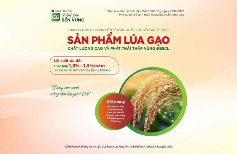 រូបភាព001.jpg -0
