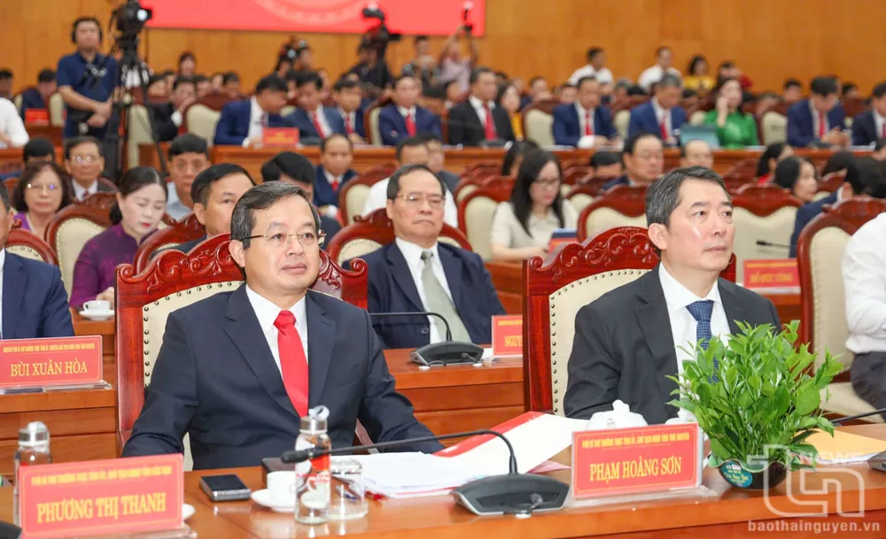 dai-bieu-pham-hoang-son_20250630120349.jpg
