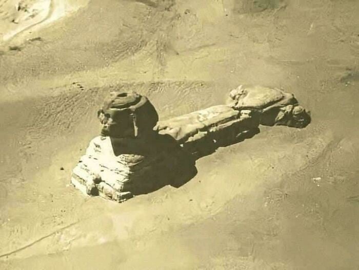 ai7.jpg