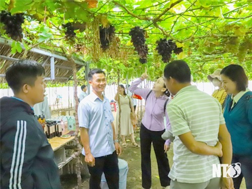 Ngành Du lịch đón hơn 2,29 triệu lượt khách