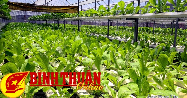 Đức Linh: Nhiều mô hình ra đời từ phong trào thi đua “Dân vận khéo”