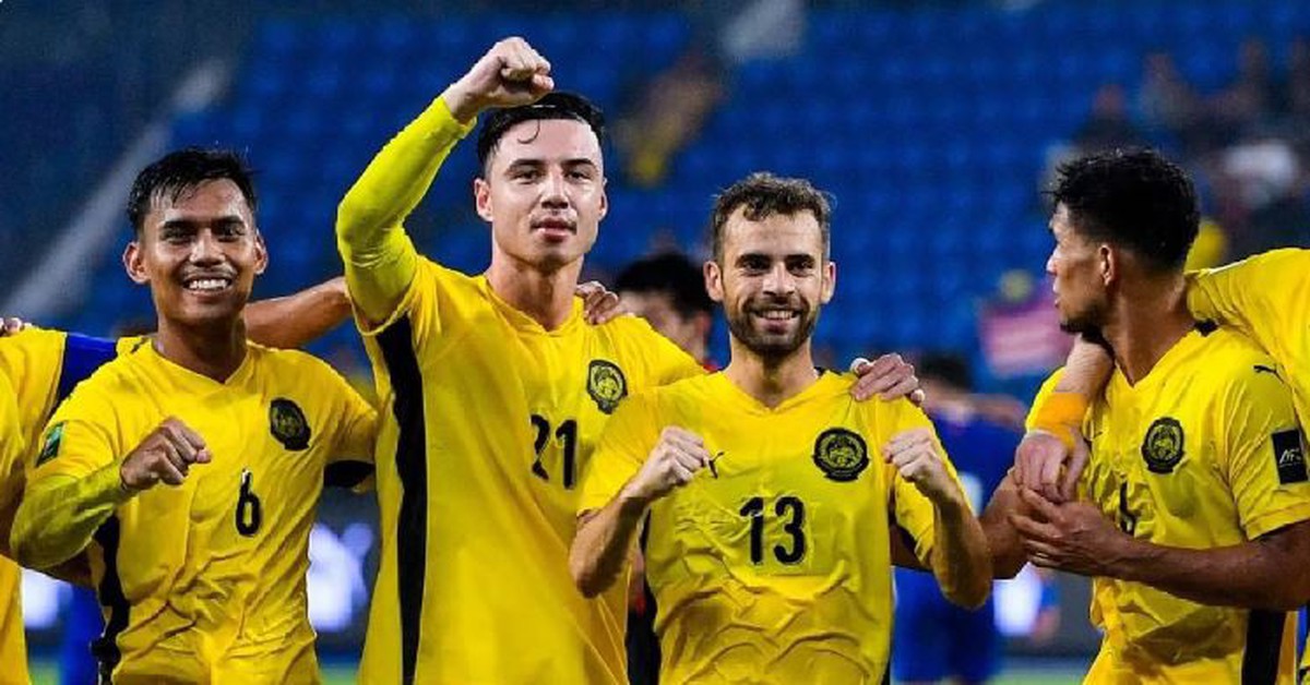L'équipe de Malaisie a reçu de lourdes sanctions de la FIFA et de l'AFC pour naturalisation frauduleuse pour battre le Vietnam ?
