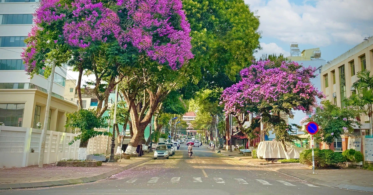 Pleiku, miền nhớ...