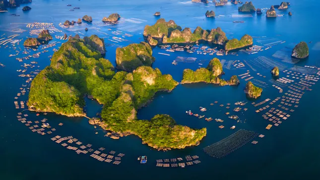 Đặc khu Vân Đồn, Cô Tô có gì đặc biệt? ảnh 1