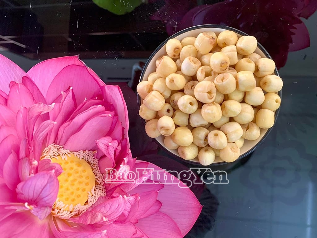 Nhiều sản phẩm từ sen Hưng Yên được công nhận OCOP 3 sao, 4 sao được người tiêu dùng đánh giá 
