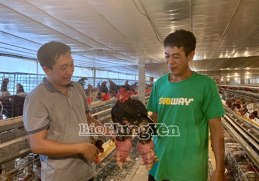 Trang trại gà Đông Tảo của gia đình anh Giang Minh Được, thôn Dũng Tiến