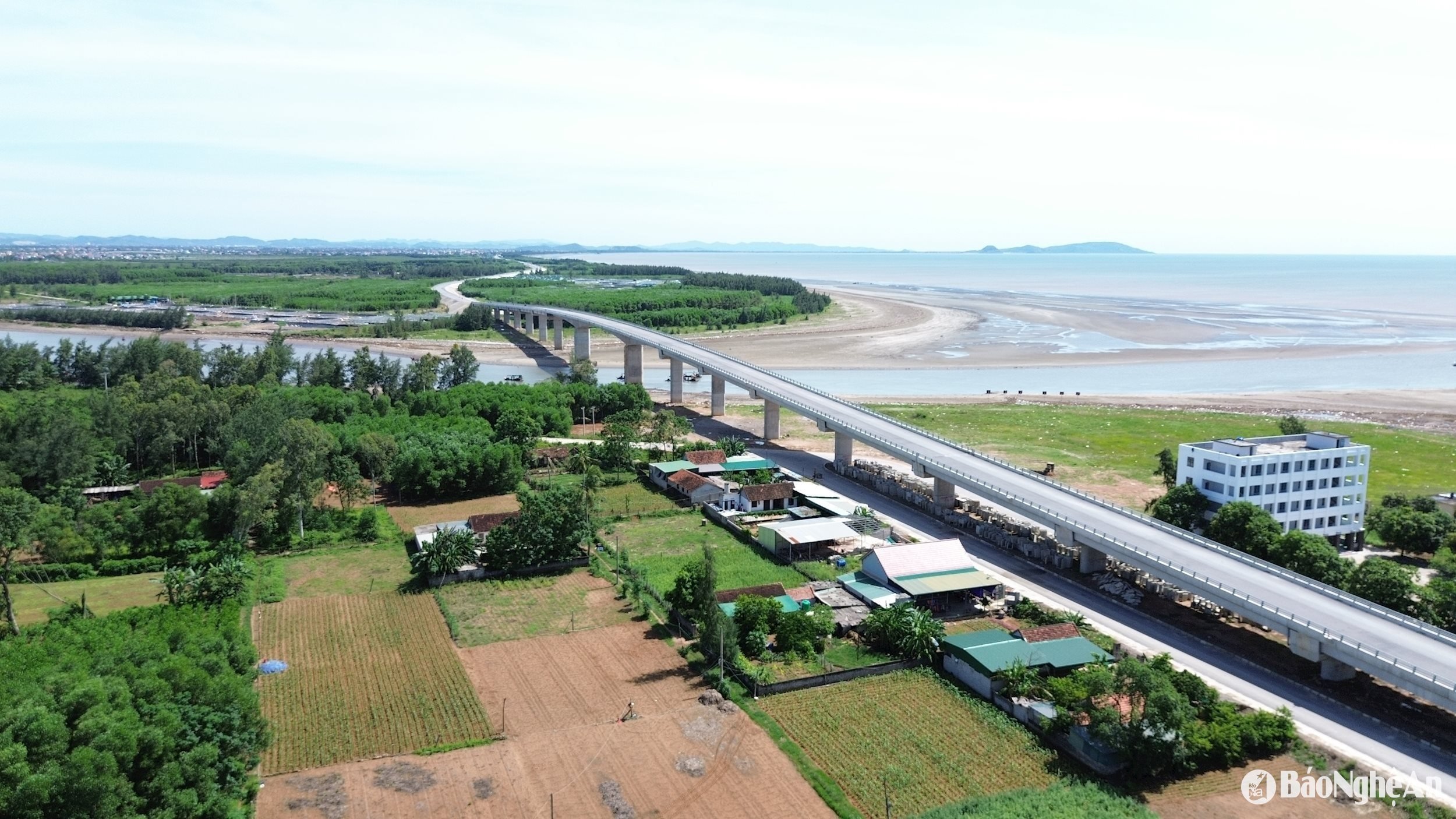 bienr quỳnh