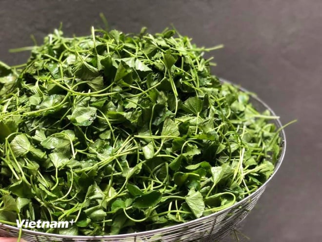 Rau má - thần dược từ thiên nhiên cho làn da khỏe đẹp