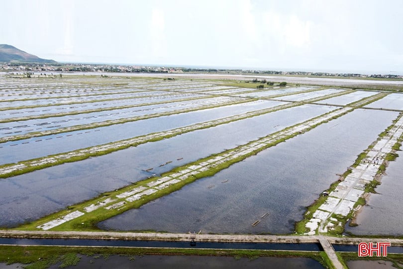 bqbht_br_dt-dji-0978-copy.jpg