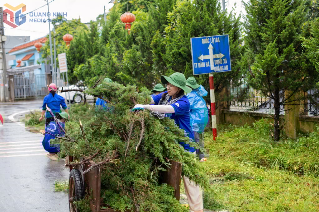 متطوعو Bich Ngoc في بلدية كوانغ آن (منطقة دام ها).