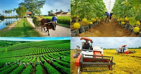 Bản tin Kinh tế - Thị trường ngày 26-6-2025: Tổng điều tra nông thôn, nông nghiệp năm 2025 trong cả nước diễn ra từ 1/7