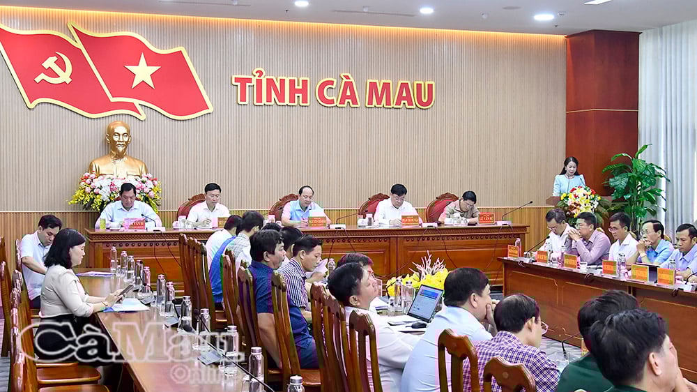 Delegates discussed and analyzed difficulties and limitations affecting growth rate.