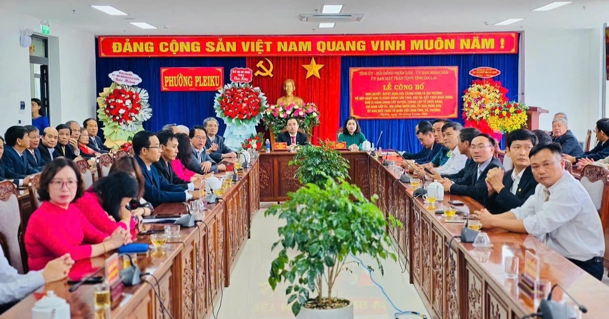 Gia Lai ចូល​ក្នុង​ពេល​វេលា​ជា​ប្រវត្តិសាស្ត្រ​ជាមួយ​នឹង​រដ្ឋាភិបាល​ក្នុង​តំបន់ 2 កម្រិត