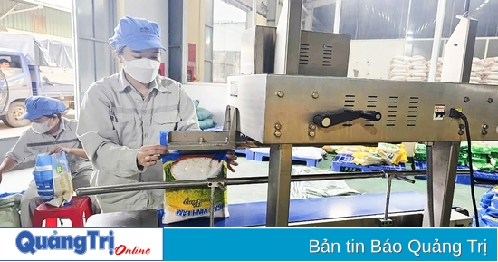 Estandarizar la trazabilidad electrónica para mejorar los productos agrícolas