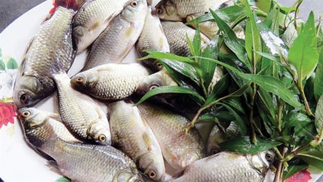 Muốn nấu được cháo cá diếc ngon, mềm ngọt, nhất định phải có loại rau này- Ảnh 3.