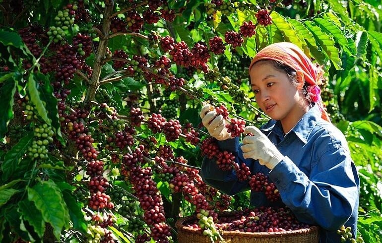لقد أصبح تطبيق وممارسة ممارسات الحوكمة البيئية والاجتماعية والمؤسسية متطلبًا لا مفر منه للشركات.