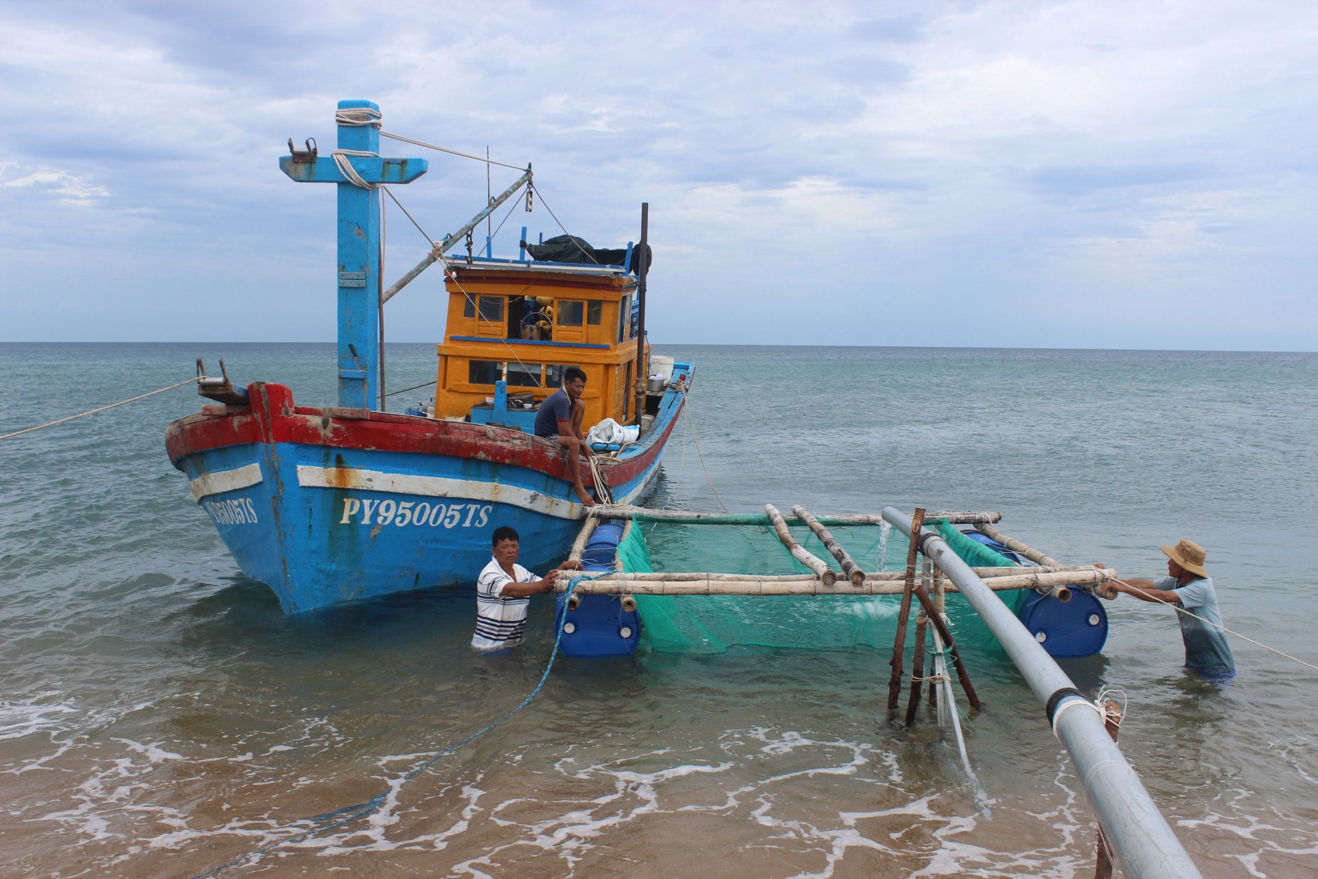 Vận chuyển cá giống ra nuôi thương phẩm ở Cù Lao Mái Nhà (huyện Tuy An). Ảnh: LỆ VĂN