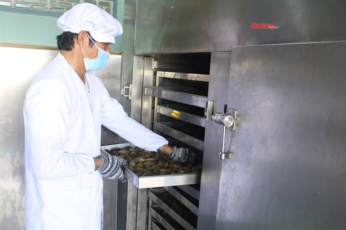 Chạm vào bản sắc Hậu Giang qua mỗi sản phẩm OCOP