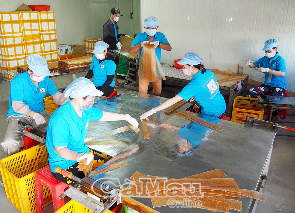 Sản xuất bánh phồng tôm tại Công ty TNHH Sản xuất Thương mại Dịch vụ Kiên Cường Năm Căn (xã Hàng Vịnh, huyện Năm Căn, tỉnh Cà Mau); công ty có 2 sản phẩm đạt OCOP 3 sao và 1 sản phẩm đạt OCOP 4 sao.