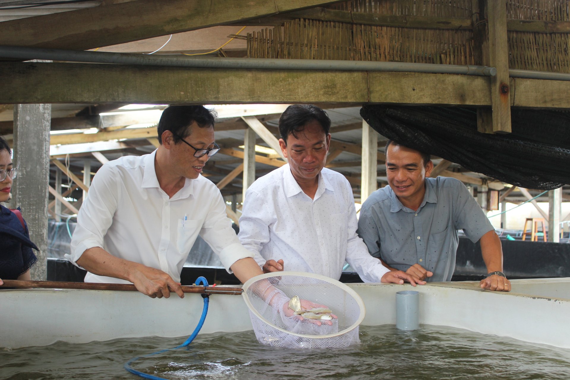 Chủ nhiệm dự án và các đơn vị chuyển giao công nghệ đang kiểm tra cá giống trong bể tại trại giống. Ảnh: LỆ VĂN