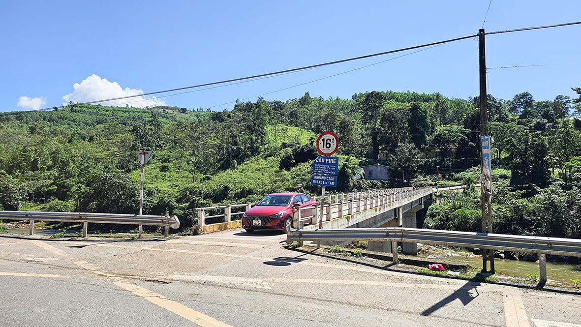 A Bung ngày mới...