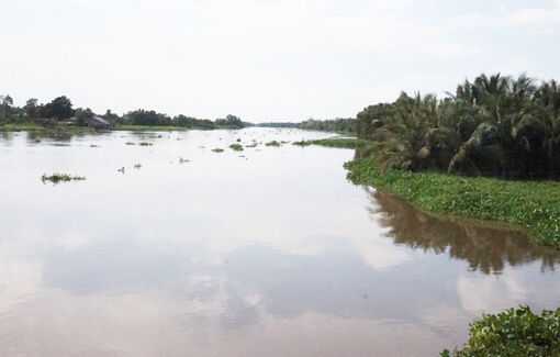 Long An: Proactively respond to heavy rain, floods, high tides, inundation, landslides