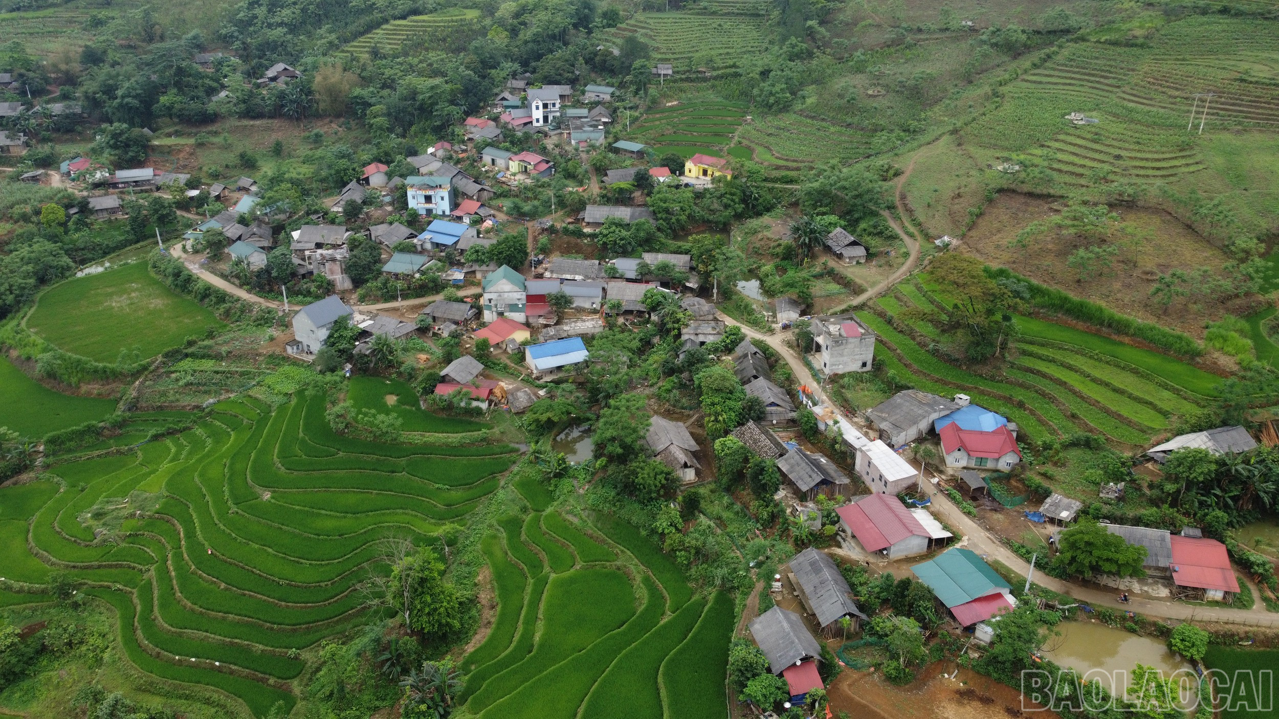 baolaocai-br_khu-vuc-ban-mo-xuan-hoa-song-dien-thoai-khong-on-dinh.jpg