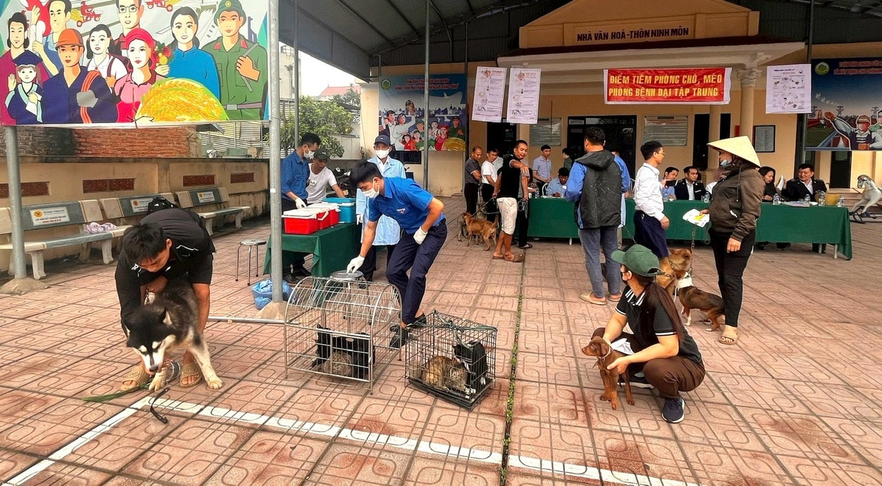 Fighting price chaos in veterinary services: Transparent regulations needed