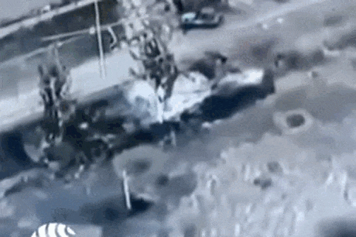 8.gif
