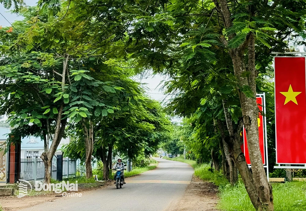 A rural road with trees in Xuan Phu commune, Xuan Loc district. Photo: B.Nguyen