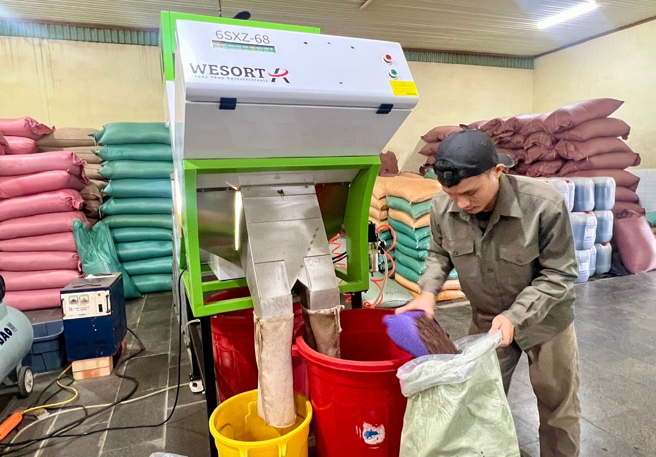 Sản xuất cà phê tại một doanh nghiệp ở TP Tuy Hoà. Ảnh: KHANG ANH